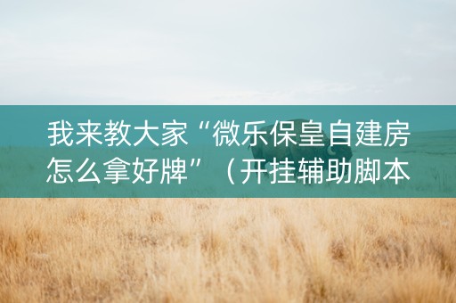 我来教大家“微乐保皇自建房怎么拿好牌”（开挂辅助脚本)