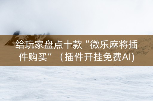给玩家盘点十款“微乐麻将插件购买”（插件开挂免费AI)