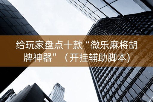 给玩家盘点十款“微乐麻将胡牌神器”（开挂辅助脚本)