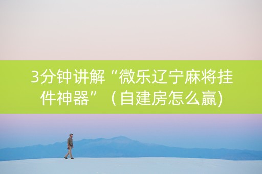 3分钟讲解“微乐辽宁麻将挂件神器”（自建房怎么赢)