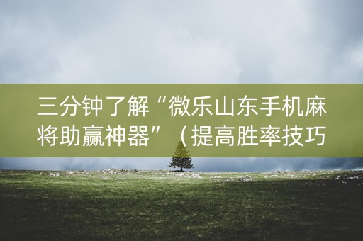 三分钟了解“微乐山东手机麻将助赢神器”（提高胜率技巧)