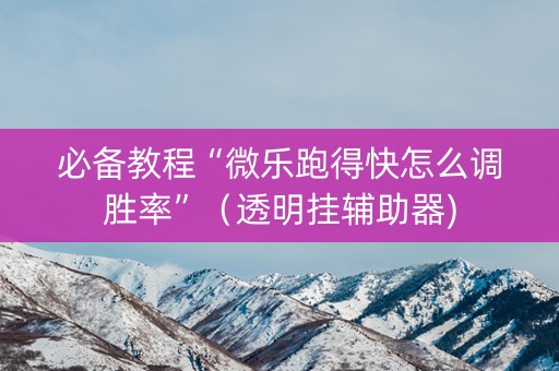 必备教程“微乐跑得快怎么调胜率”（透明挂辅助器)