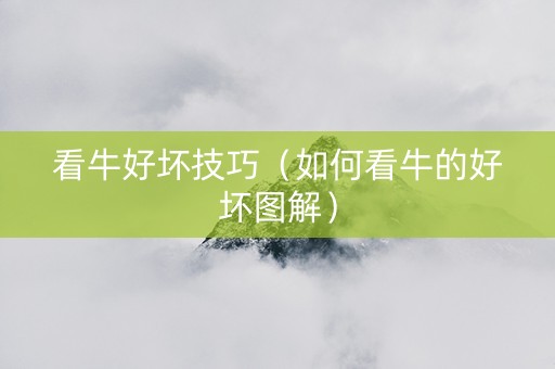 看牛好坏技巧（如何看牛的好坏图解）