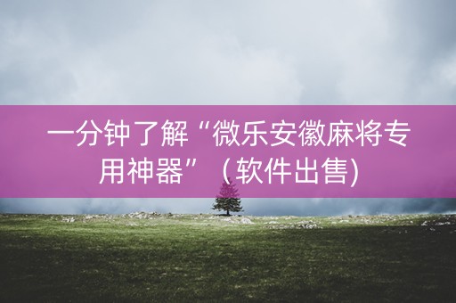 一分钟了解“微乐安徽麻将专用神器”（软件出售)