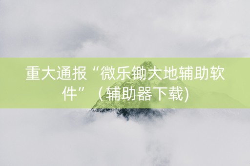 重大通报“微乐锄大地辅助软件”（辅助器下载)
