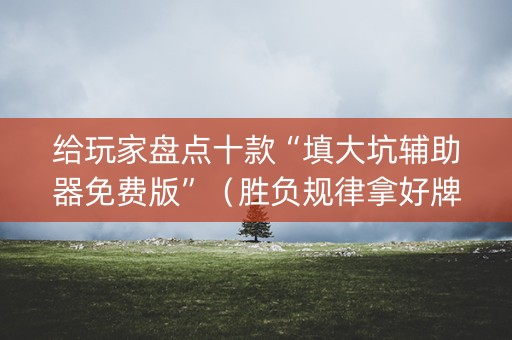 给玩家盘点十款“填大坑辅助器免费版”（胜负规律拿好牌)