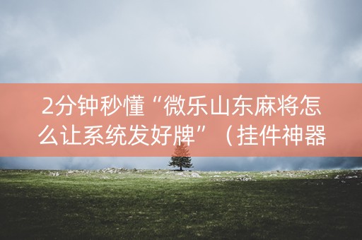 2分钟秒懂“微乐山东麻将怎么让系统发好牌”（挂件神器)