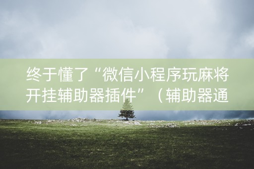 终于懂了“微信小程序玩麻将开挂辅助器插件”（辅助器通用版)