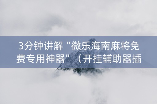 3分钟讲解“微乐海南麻将免费专用神器”（开挂辅助器插件)