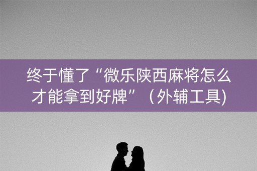 终于懂了“微乐陕西麻将怎么才能拿到好牌”（外辅工具)