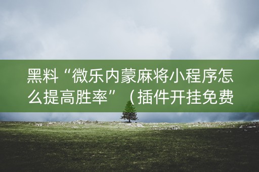 黑料“微乐内蒙麻将小程序怎么提高胜率”（插件开挂免费AI)