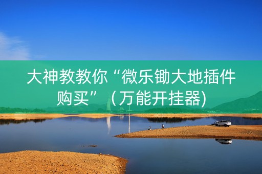大神教教你“微乐锄大地插件购买”（万能开挂器)