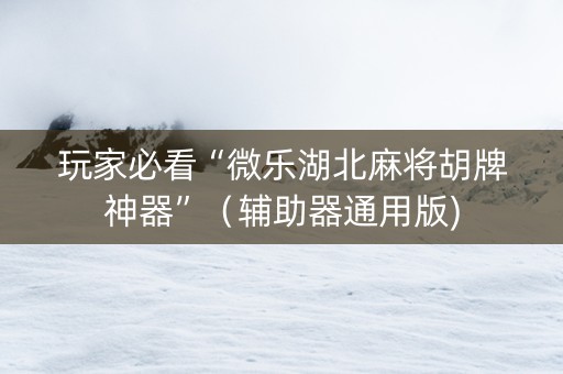 玩家必看“微乐湖北麻将胡牌神器”（辅助器通用版)