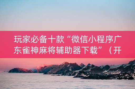 玩家必备十款“微信小程序广东雀神麻将辅助器下载”（开挂辅助插件)