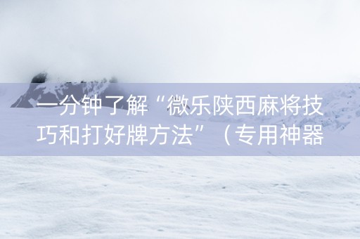 一分钟了解“微乐陕西麻将技巧和打好牌方法”（专用神器下载)