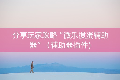 分享玩家攻略“微乐掼蛋辅助器”（辅助器插件)
