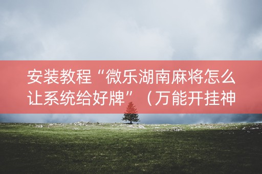 安装教程“微乐湖南麻将怎么让系统给好牌”（万能开挂神器)