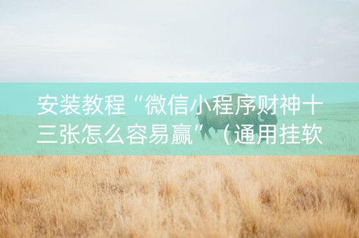 安装教程“微信小程序财神十三张怎么容易赢”（通用挂软件多少钱)
