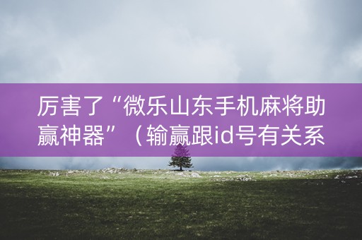 厉害了“微乐山东手机麻将助赢神器”（输赢跟id号有关系吗)