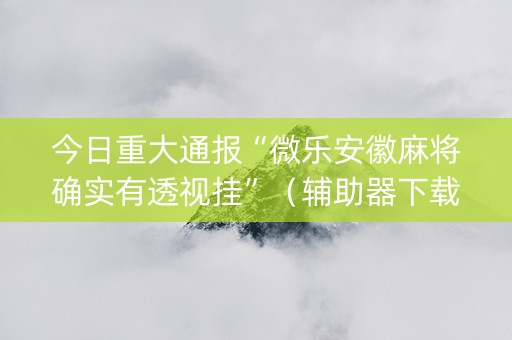 今日重大通报“微乐安徽麻将确实有透视挂”（辅助器下载)