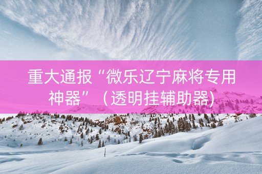 重大通报“微乐辽宁麻将专用神器”（透明挂辅助器)