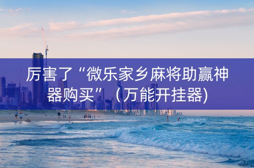 厉害了“微乐家乡麻将助赢神器购买”（万能开挂器)