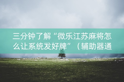 三分钟了解“微乐江苏麻将怎么让系统发好牌”（辅助器通用版)