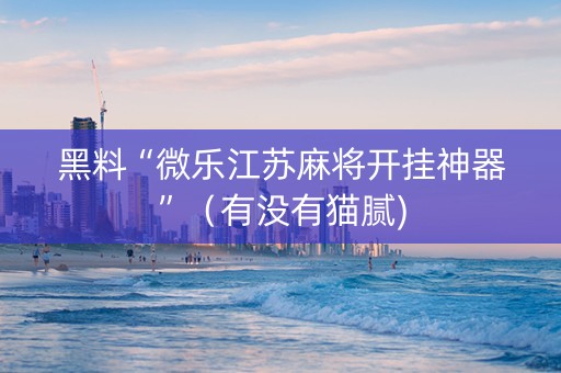 黑料“微乐江苏麻将开挂神器”（有没有猫腻)