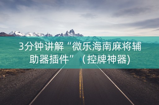 3分钟讲解“微乐海南麻将辅助器插件”（控牌神器)