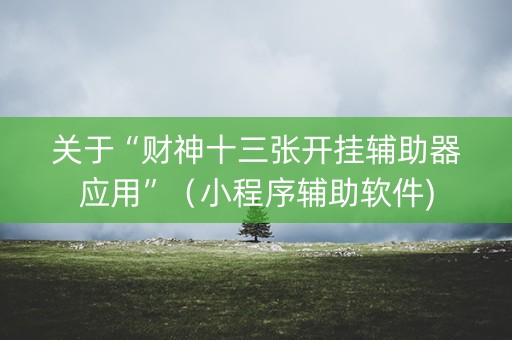 关于“财神十三张开挂辅助器应用”（小程序辅助软件)