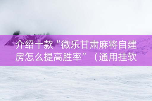 介绍十款“微乐甘肃麻将自建房怎么提高胜率”（通用挂软件多少钱)