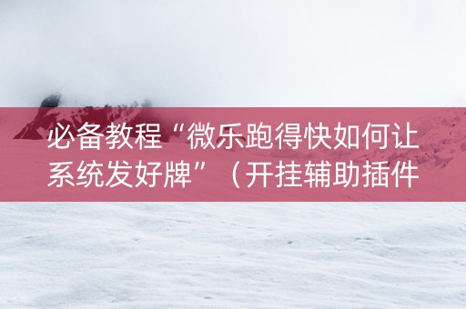 必备教程“微乐跑得快如何让系统发好牌”（开挂辅助插件)