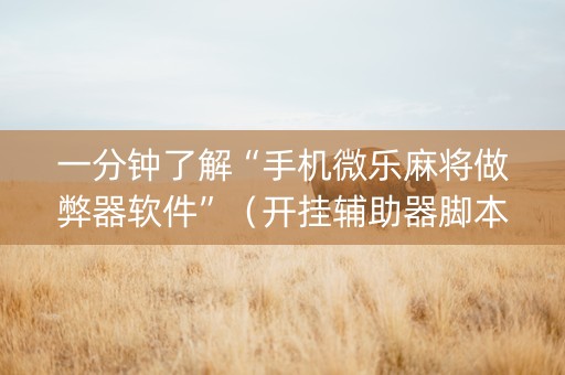 一分钟了解“手机微乐麻将做弊器软件”（开挂辅助器脚本)
