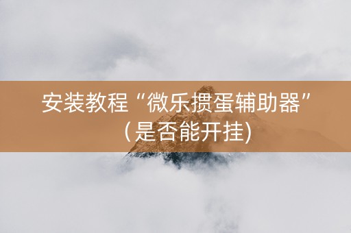 安装教程“微乐掼蛋辅助器”（是否能开挂)