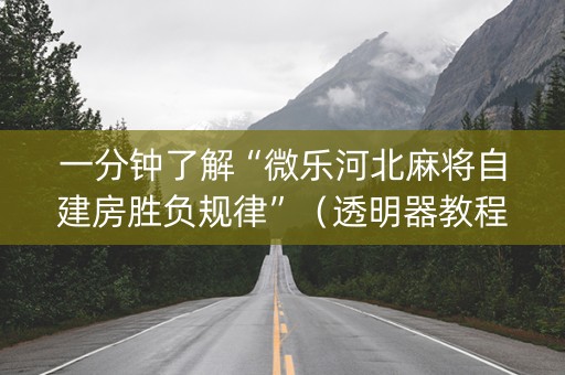 一分钟了解“微乐河北麻将自建房胜负规律”（透明器教程)