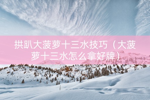 拱趴大菠萝十三水技巧（大菠萝十三水怎么拿好牌）