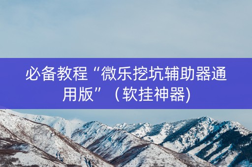 必备教程“微乐挖坑辅助器通用版”（软挂神器)