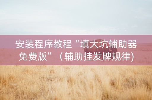 安装程序教程“填大坑辅助器免费版”（辅助挂发牌规律)