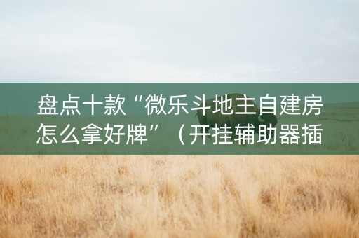 盘点十款“微乐斗地主自建房怎么拿好牌”（开挂辅助器插件)