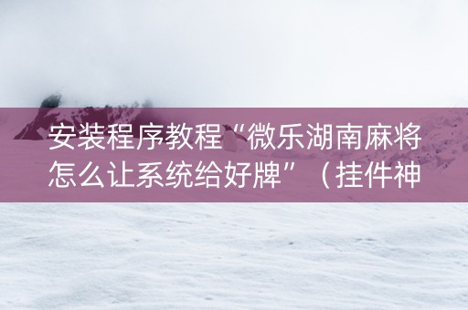 安装程序教程“微乐湖南麻将怎么让系统给好牌”（挂件神器)
