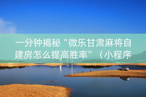 一分钟揭秘“微乐甘肃麻将自建房怎么提高胜率”（小程序辅助软件)