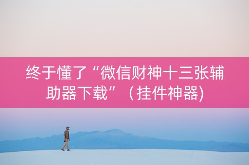 终于懂了“微信财神十三张辅助器下载”（挂件神器)