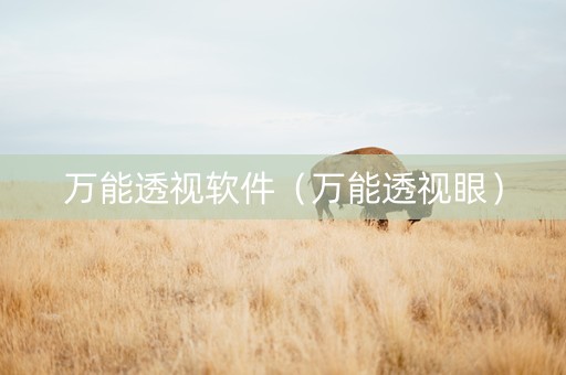 万能透视软件（万能透视眼）