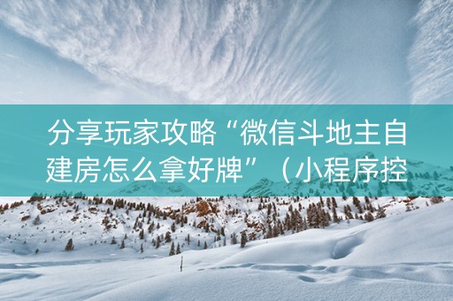 分享玩家攻略“微信斗地主自建房怎么拿好牌”（小程序控牌器)