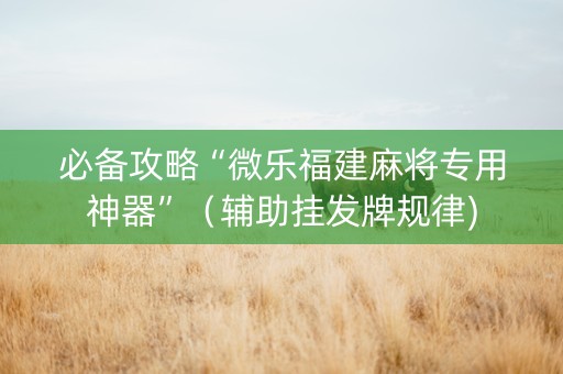 必备攻略“微乐福建麻将专用神器”（辅助挂发牌规律)