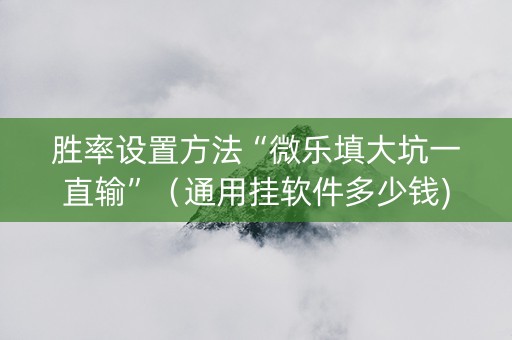 胜率设置方法“微乐填大坑一直输”（通用挂软件多少钱)