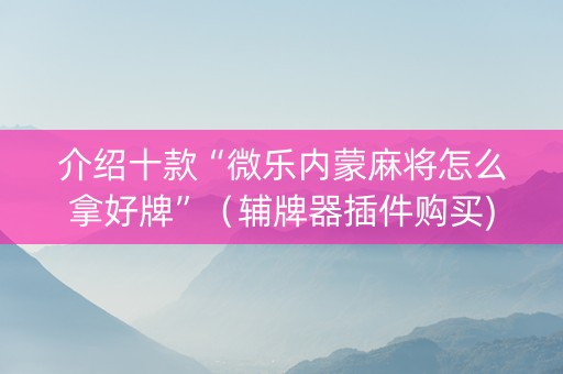 介绍十款“微乐内蒙麻将怎么拿好牌”（辅牌器插件购买)