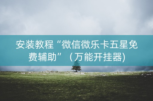 安装教程“微信微乐卡五星免费辅助”（万能开挂器)