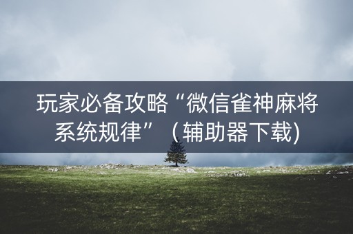 玩家必备攻略“微信雀神麻将系统规律”（辅助器下载)