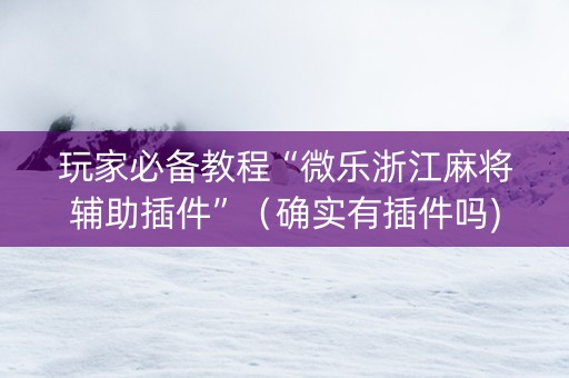 玩家必备教程“微乐浙江麻将辅助插件”（确实有插件吗)